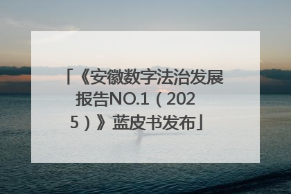 《安徽数字法治发展报告NO.1（2025）》蓝皮书发布