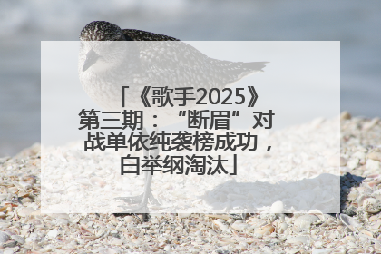 《歌手2025》第三期：“断眉”对战单依纯袭榜成功，白举纲淘汰