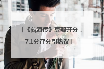 《藏海传》豆瓣开分，7.1分评分引热议