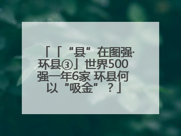 「“县”在图强·环县③」世界500强一年6家 环县何以“吸金”？