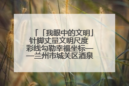 「我眼中的文明」针脚丈量文明尺度 彩线勾勒幸福坐标——兰州市城关区酒泉路街道办事处