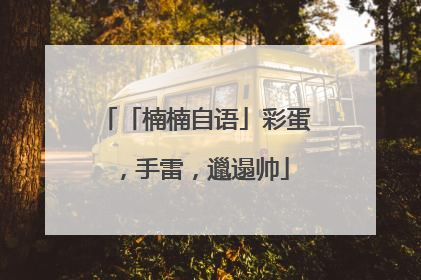 「楠楠自语」彩蛋，手雷，邋遢帅