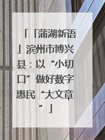 「蒲湖新语」滨州市博兴县：以“小切口”做好数字惠民“大文章”