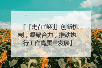 「走在前列」创新机制，凝聚合力，推动执行工作高质量发展