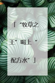 “牧草之王”喝上“配方水”