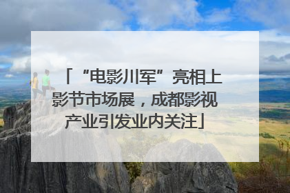 “电影川军”亮相上影节市场展，成都影视产业引发业内关注