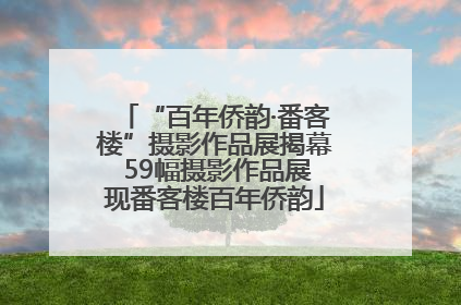 “百年侨韵·番客楼”摄影作品展揭幕 59幅摄影作品展现番客楼百年侨韵