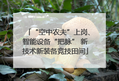 “空中农夫”上岗、智能设备“把脉” 新技术新装备竞技田间