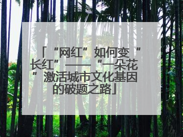 “网红”如何变“长红”——“一朵花”激活城市文化基因的破题之路