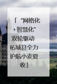 “网格化+智慧化”双轮驱动 柘城县全力护航小麦夏收