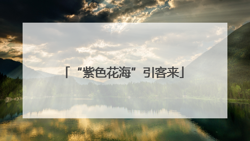 “紫色花海”引客来