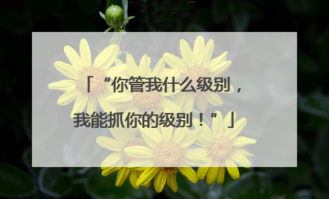 “你管我什么级别，我能抓你的级别！”