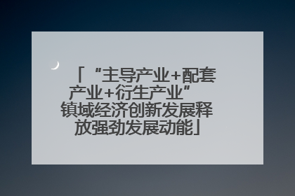 “主导产业+配套产业+衍生产业” 镇域经济创新发展释放强劲发展动能