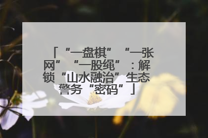 “一盘棋”“一张网”“一股绳”：解锁“山水融治”生态警务“密码”