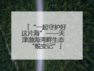 “一起守护好这片海”——天津渤海湾畔生态“蜕变记”