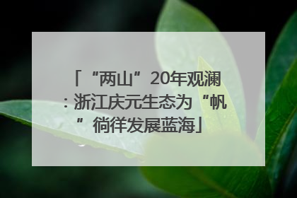 “两山”20年观澜：浙江庆元生态为“帆”徜徉发展蓝海