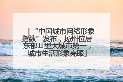 “中国城市网络形象指数”发布，扬州位居东部Ⅱ型大城市第一，城市生活形象亮眼