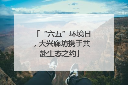 “六五”环境日，大兴廊坊携手共赴生态之约