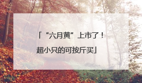 “六月黄”上市了！超小只的可按斤买