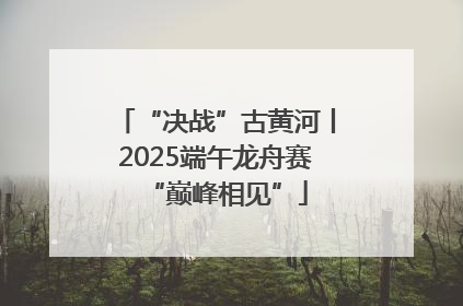 “决战”古黄河丨2025端午龙舟赛“巅峰相见”