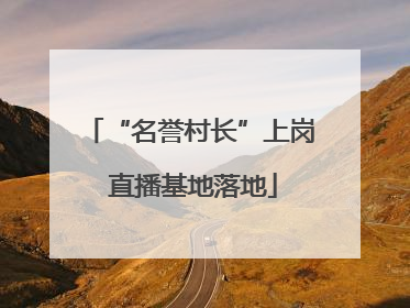 “名誉村长”上岗 直播基地落地