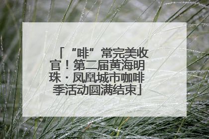 “啡”常完美收官！第二届黄海明珠・凤凰城市咖啡季活动圆满结束