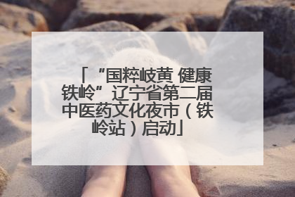 “国粹岐黄 健康铁岭”辽宁省第二届中医药文化夜市（铁岭站）启动
