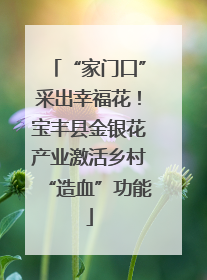 “家门口”采出幸福花！宝丰县金银花产业激活乡村“造血”功能