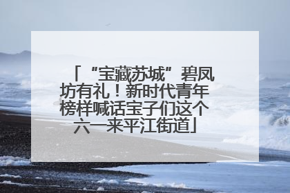 “宝藏苏城”碧凤坊有礼！新时代青年榜样喊话宝子们这个六一来平江街道
