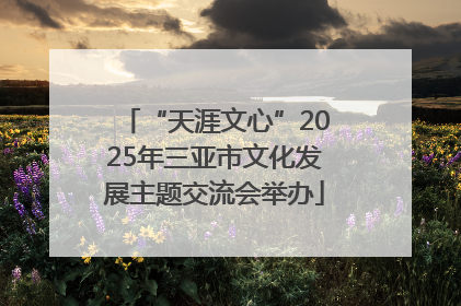 “天涯文心”2025年三亚市文化发展主题交流会举办