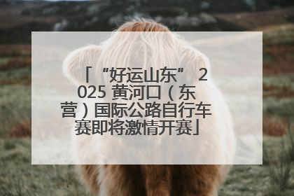 “好运山东” 2025 黄河口（东营）国际公路自行车赛即将激情开赛