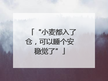 “小麦都入了仓，可以睡个安稳觉了”