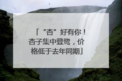 “杏”好有你！杏子集中登鹭，价格低于去年同期