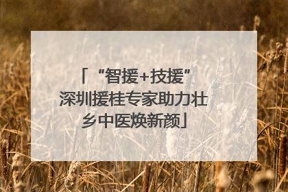 “智援+技援” 深圳援桂专家助力壮乡中医焕新颜