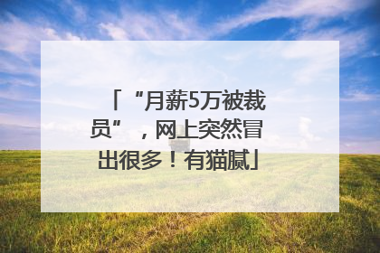 “月薪5万被裁员”，网上突然冒出很多！有猫腻