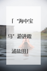 “海中宝马”游进霞浦盐田