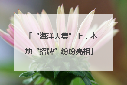 “海洋大集”上，本地“招牌”纷纷亮相