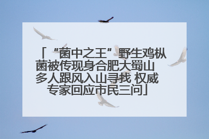 “菌中之王”野生鸡枞菌被传现身合肥大蜀山 多人跟风入山寻找 权威专家回应市民三问