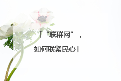 “联群网”，如何联紧民心