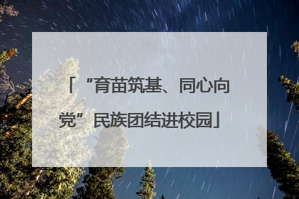 “育苗筑基、同心向党”民族团结进校园