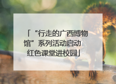 “行走的广西博物馆”系列活动启动 红色课堂进校园
