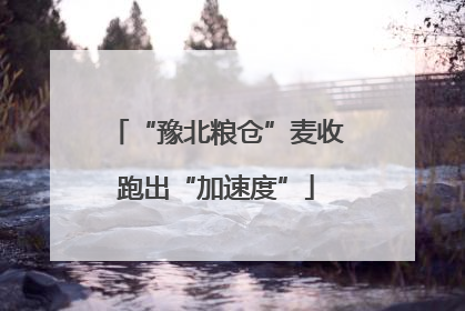 “豫北粮仓”麦收跑出“加速度”