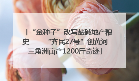 “金种子”改写盐碱地产粮史——“齐民27号”创黄河三角洲亩产1200斤奇迹