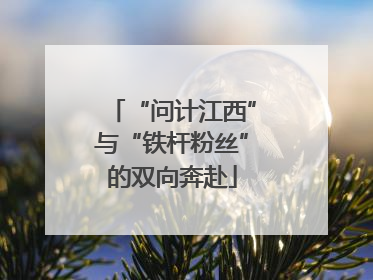 “问计江西”与“铁杆粉丝”的双向奔赴