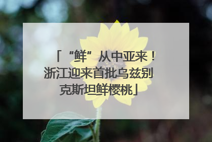 “鲜”从中亚来！浙江迎来首批乌兹别克斯坦鲜樱桃