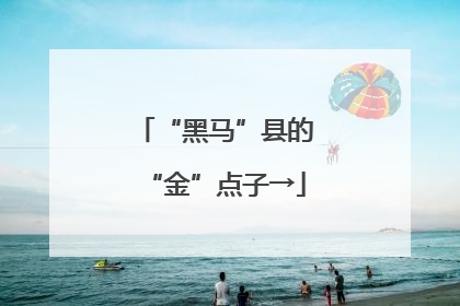 “黑马”县的“金”点子→