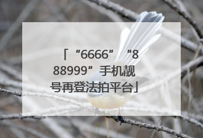 “6666”“888999”手机靓号再登法拍平台