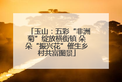 玉山：五彩“非洲菊”绽放横街镇 朵朵“振兴花”催生乡村共富图景