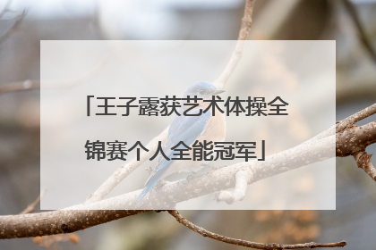 王子露获艺术体操全锦赛个人全能冠军