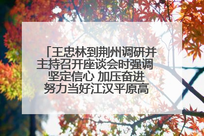 王忠林到荆州调研并主持召开座谈会时强调 坚定信心 加压奋进 努力当好江汉平原高质量发展排头兵